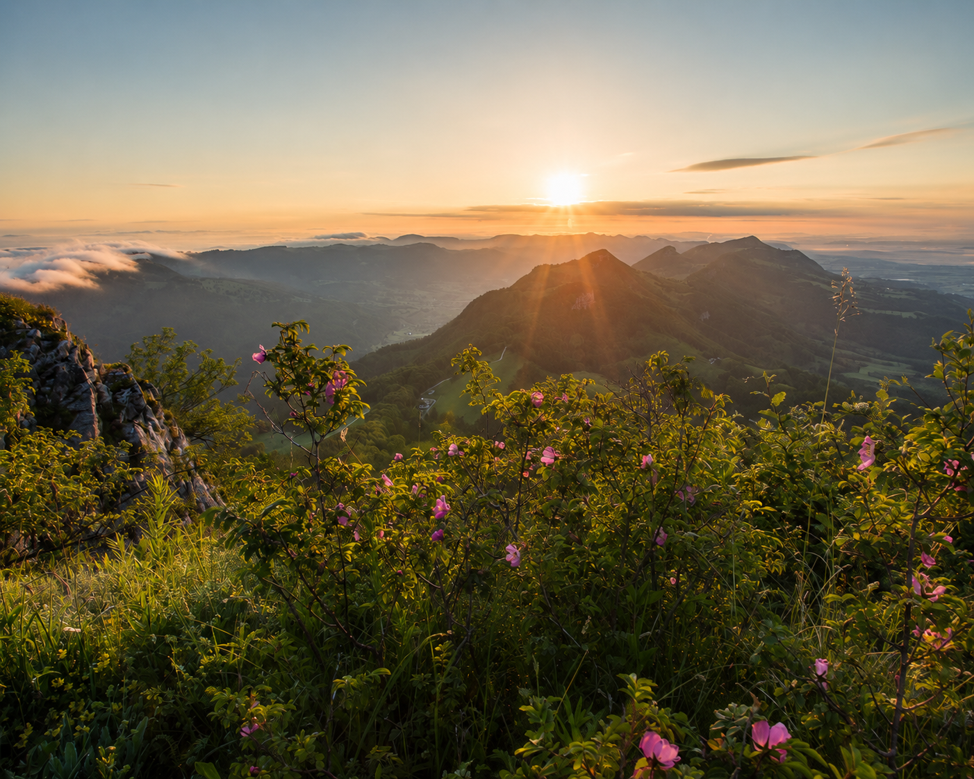 Sonnenaufgang über dem Naturpark Thal mit Wildrosen im Vordergrund